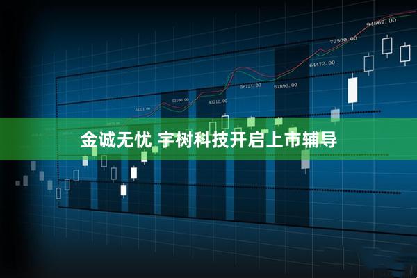 金诚无忧 宇树科技开启上市辅导