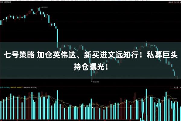 七号策略 加仓英伟达、新买进文远知行！私募巨头持仓曝光！